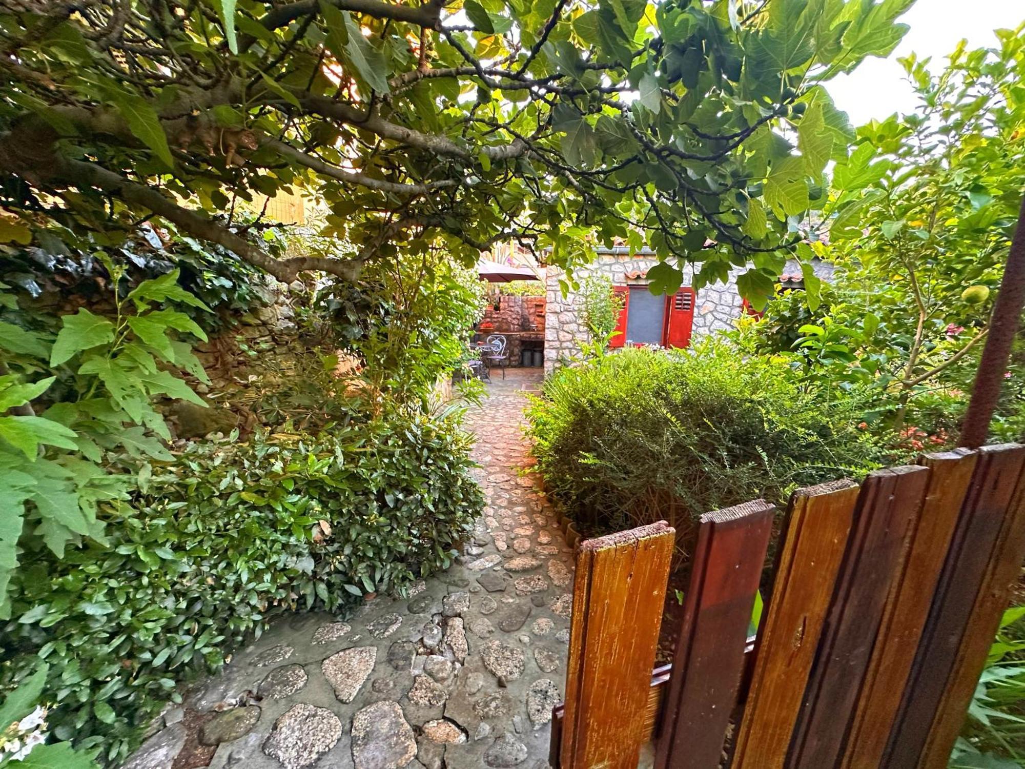 Apartments Cvita Велі-Лошинь Екстер'єр фото