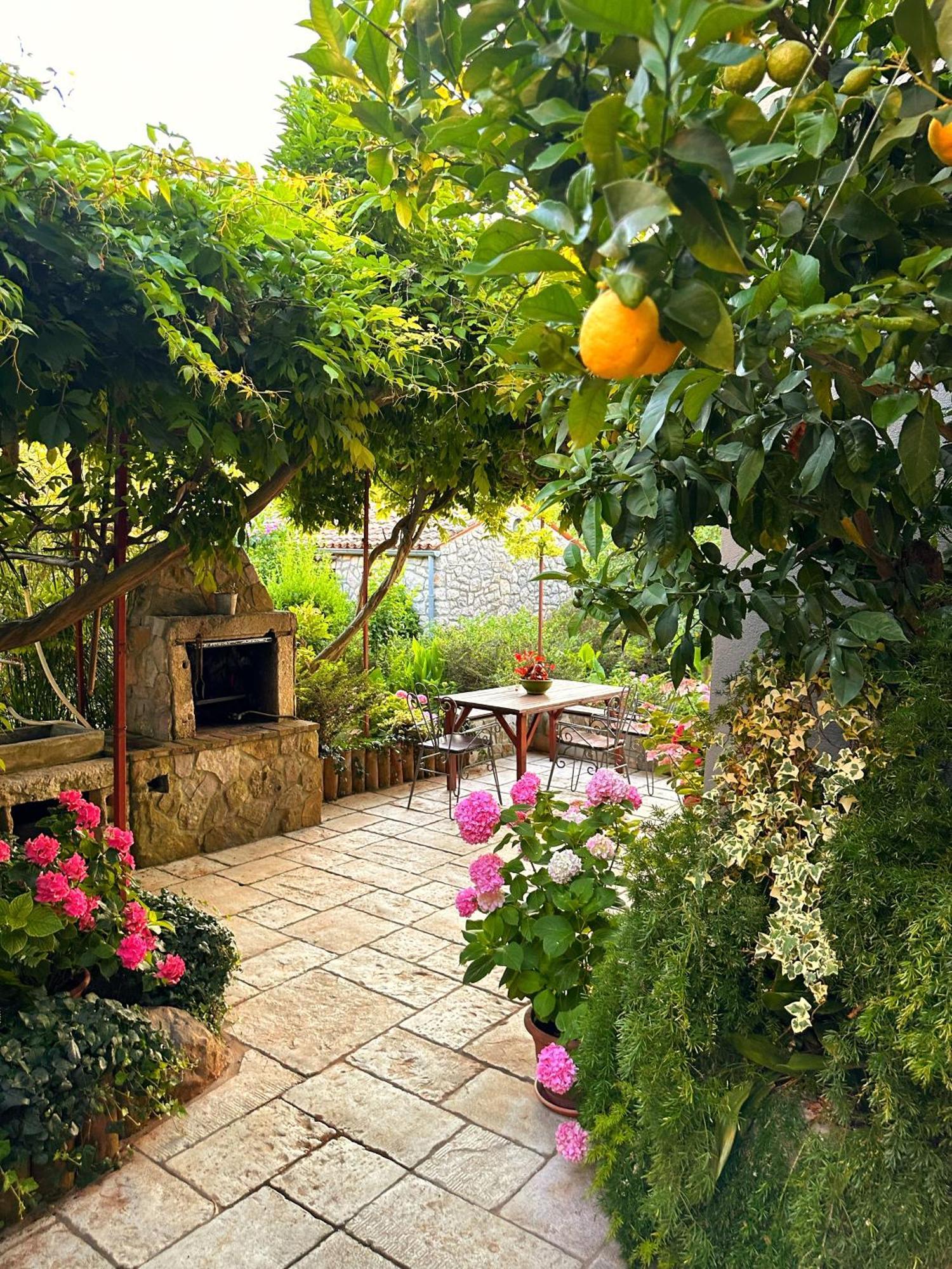 Apartments Cvita Велі-Лошинь Екстер'єр фото