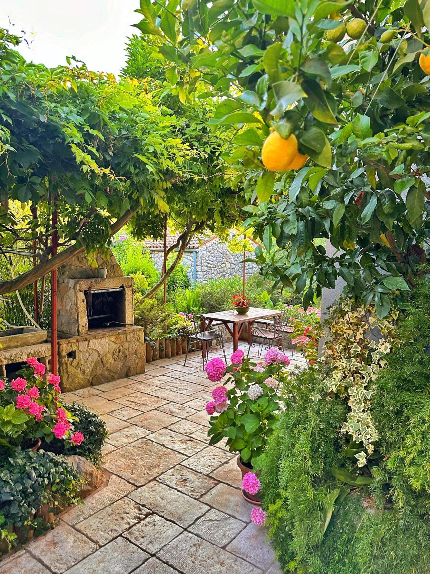 Apartments Cvita Велі-Лошинь Екстер'єр фото