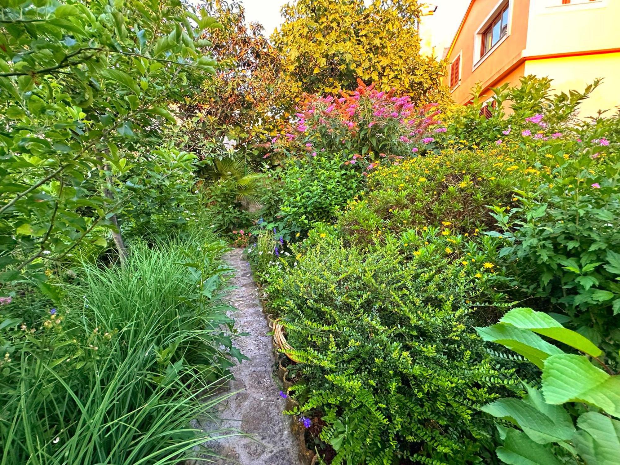 Apartments Cvita Велі-Лошинь Екстер'єр фото